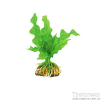 Aquatic Plants акваріумна рослина, 13 см × 10 шт/уп (1314)