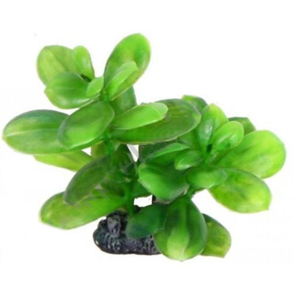Aquatic Plants акваріумна рослина, 13 см (1373)