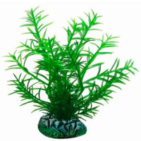 Aquatic Plants акваріумна рослина, 13 см × 8 шт/уп (1397)