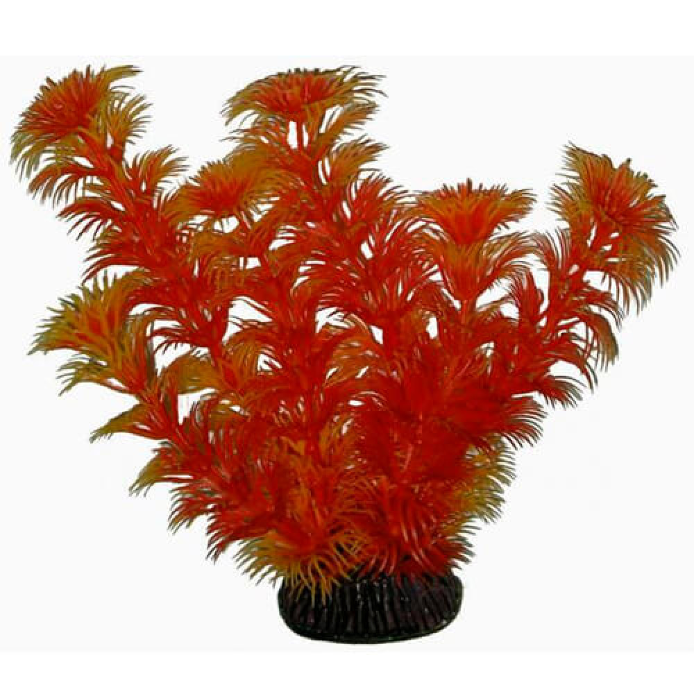Aquatic Plants аквариумное растение, 19 см × 8 шт/уп (1968)