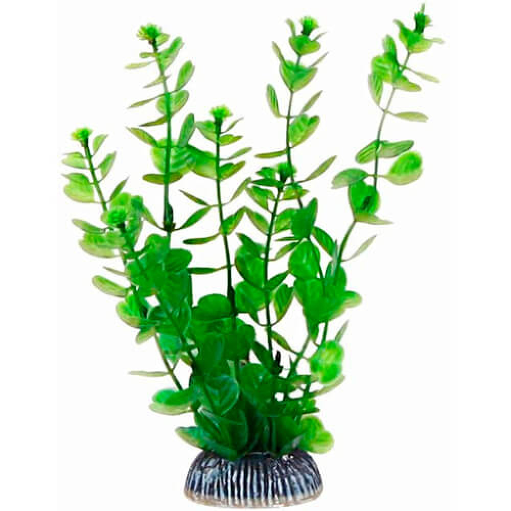 Aquatic Plants акваріумна рослина, 19 см × 8 шт/уп (1990)