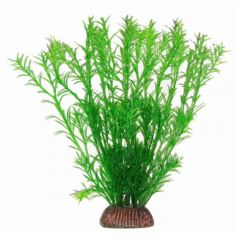 Aquatic Plants акваріумна рослина, 19 см × 8 шт/уп (1991)