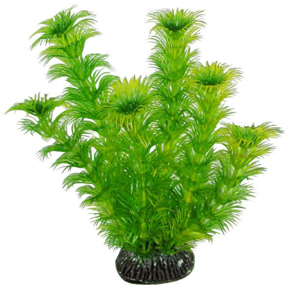Aquatic Plants акваріумна рослина, 19 см × 8 шт/уп (1998)