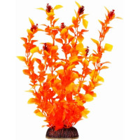 Aquatic Plants акваріумна рослина, 25 см × 8 шт/уп (2565)
