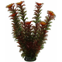 Aquatic Plants акваріумна рослина, 25 см × 8 шт/уп (2577)