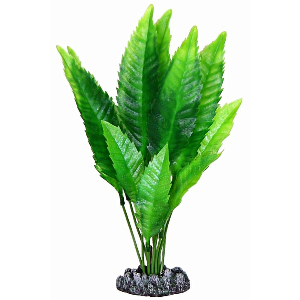 Aquatic Plants акваріумна рослина, 25 см × 8 шт/уп (2579)
