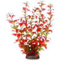 Aquatic Plants акваріумна рослина, 25 см × 8 шт/уп (2584)