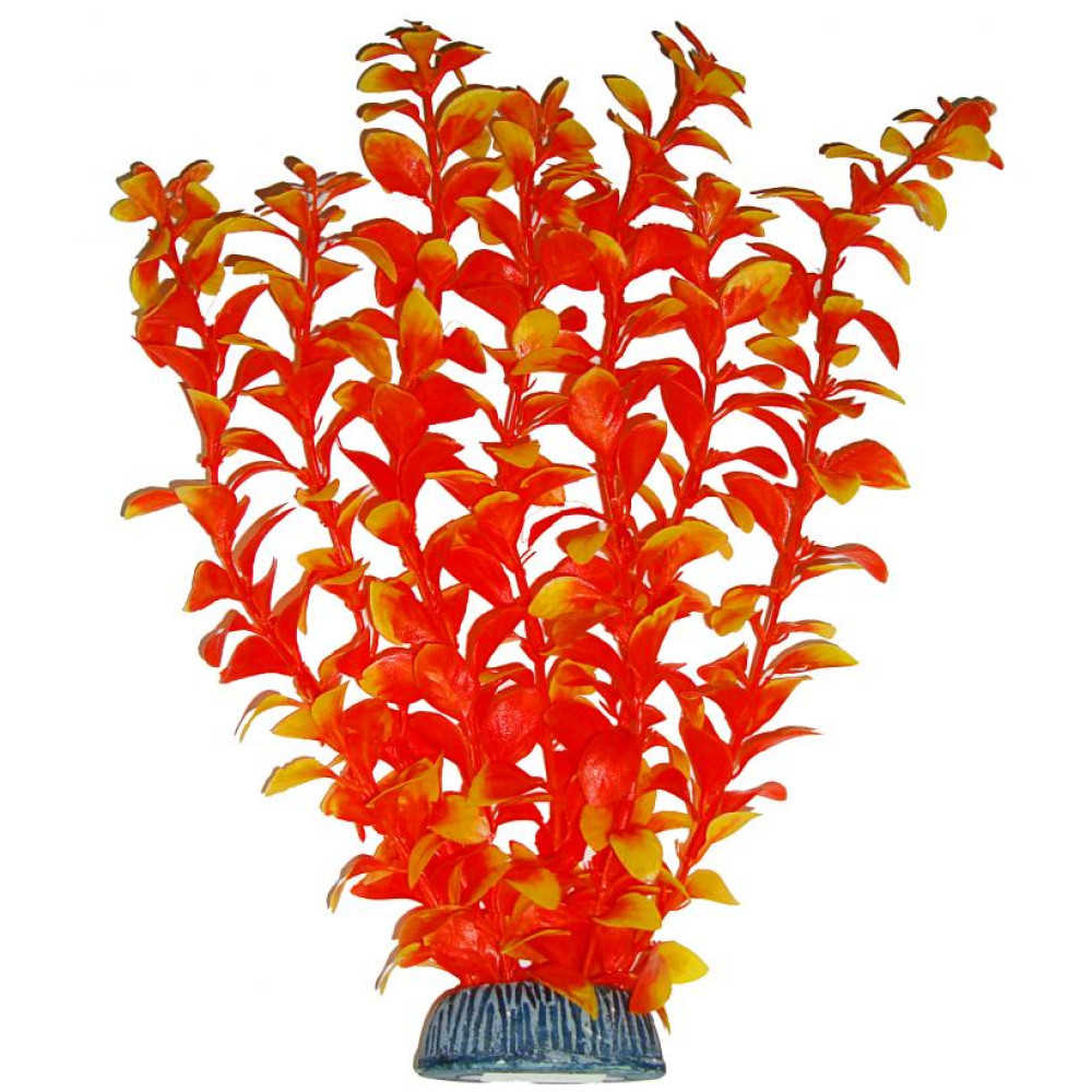 Aquatic Plants акваріумна рослина, 25 см × 8 шт/уп (2585)