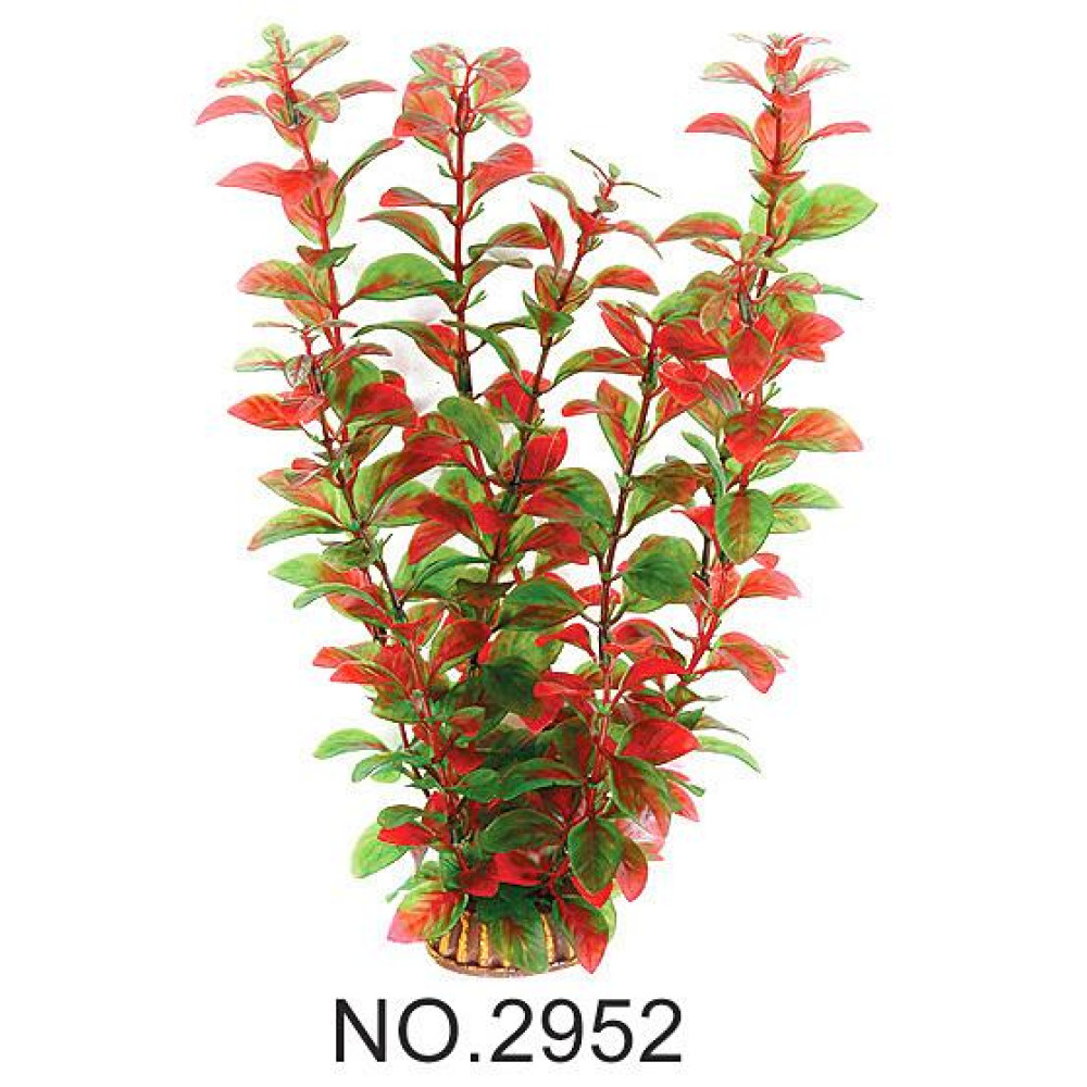 Aquatic Plants акваріумна рослина, 29 см × 6 шт/уп (2952)