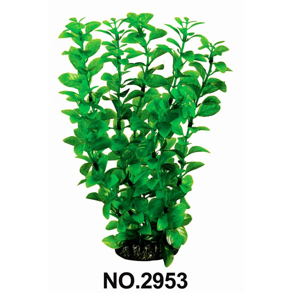 Aquatic Plants акваріумна рослина, 29 см × 6 шт/уп (2953)