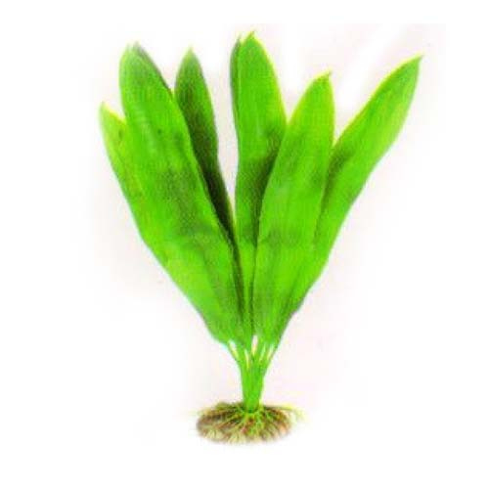Aquatic Plants акваріумна рослина, 29 см × 6 шт/уп (2966)