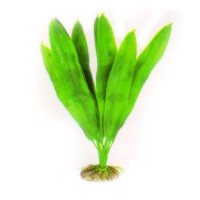Aquatic Plants акваріумна рослина, 29 см × 6 шт/уп (2966)