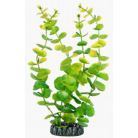 Aquatic Plants акваріумна рослина, 29 см × 6 шт/уп (2974)