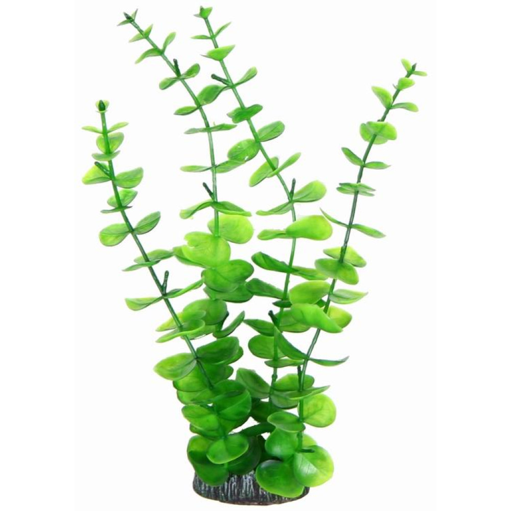 Aquatic Plants акваріумна рослина, 29 см × 6 шт/уп (2975)