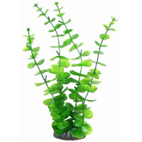 Aquatic Plants акваріумна рослина, 29 см × 6 шт/уп (2975)