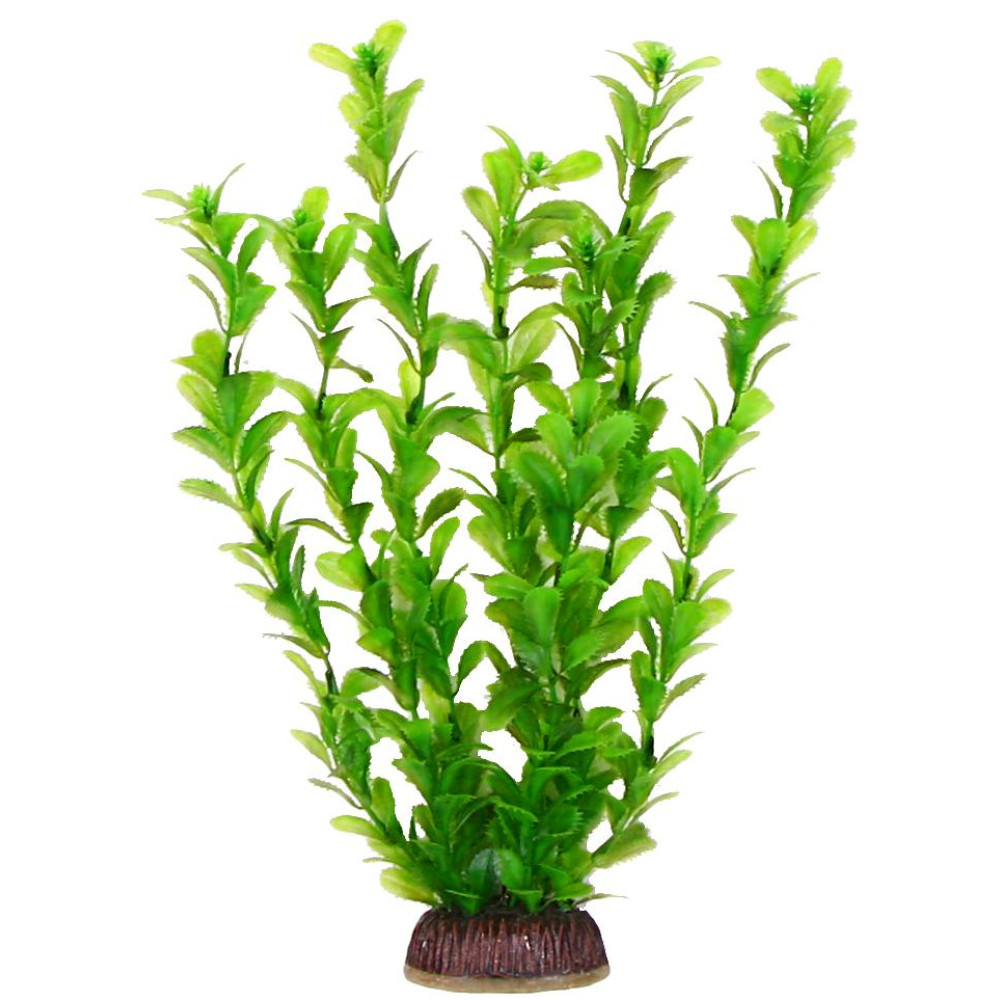 Aquatic Plants акваріумна рослина, 29 см × 8 шт/уп (2976)