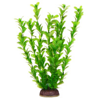 Aquatic Plants акваріумна рослина, 29 см × 8 шт/уп (2976)