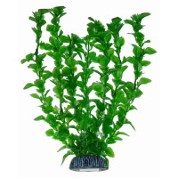 Aquatic Plants акваріумна рослина, 29 см × 6 шт/уп (2977)