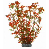 Aquatic Plants акваріумна рослина, 29 см × 8 шт/уп (2980)