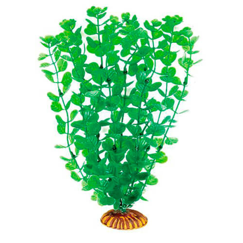 Aquatic Plants акваріумна рослина, 29 см × 6 шт/уп (2998)