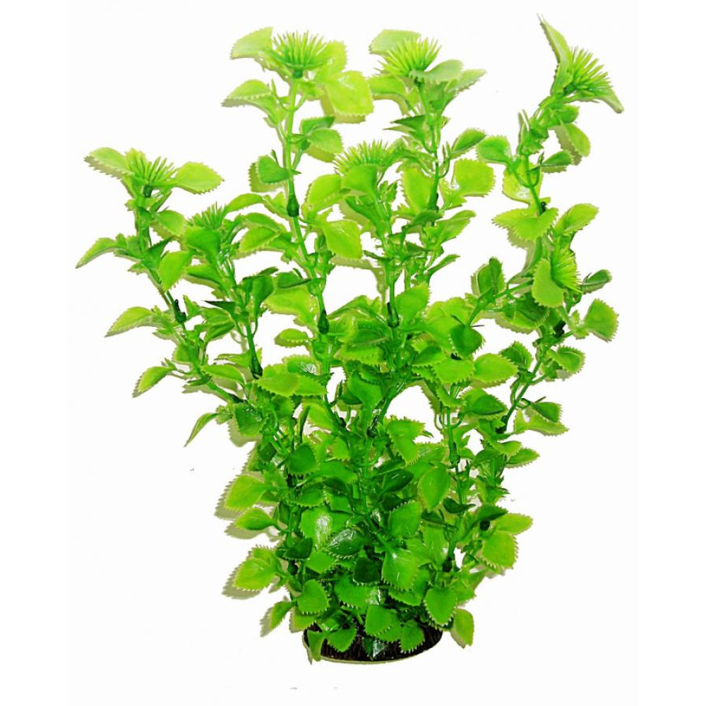 Aquatic Plants акваріумна рослина, 34 см × 6 шт/уп (3451)
