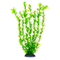Aquatic Plants акваріумна рослина, 34 см × 6 шт/уп (3453)