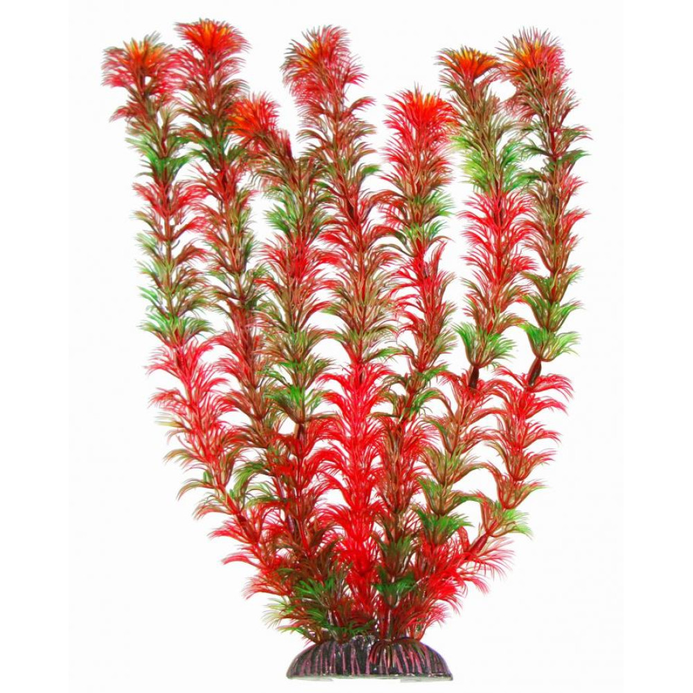 Aquatic Plants акваріумна рослина, 34 см × 6 шт/уп (3465)