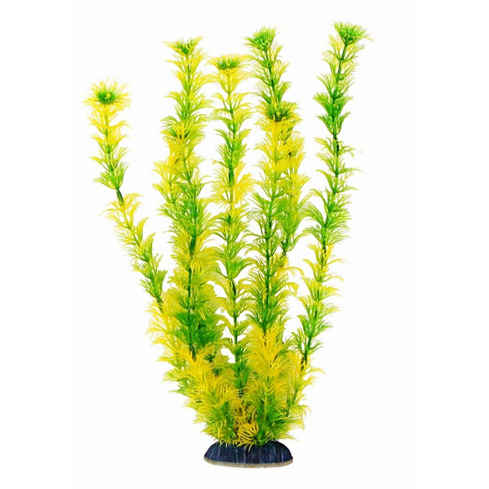 Aquatic Plants акваріумна рослина, 34 см × 6 шт/уп (3467)