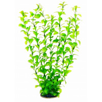 Aquatic Plants акваріумна рослина, 34 см × 6 шт/уп (3468)
