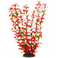 Aquatic Plants акваріумна рослина, 34 см × 6 шт/уп (3469)