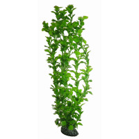 Aquatic Plants акваріумна рослина, 46 см × 6 шт/уп (4676)