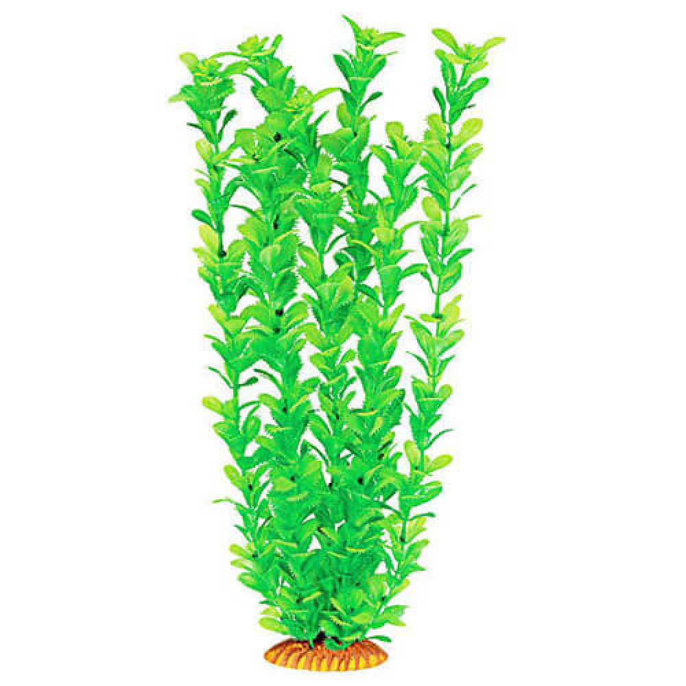 Aquatic Plants акваріумна рослина, 46 см × 6 шт/уп (4678)
