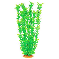 Aquatic Plants акваріумна рослина, 46 см × 6 шт/уп (4678)