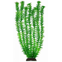 Aquatic Plants акваріумна рослина, 46 см × 6 шт/уп (4682)