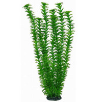Aquatic Plants акваріумна рослина, 46 см × 6 шт/уп (4686)
