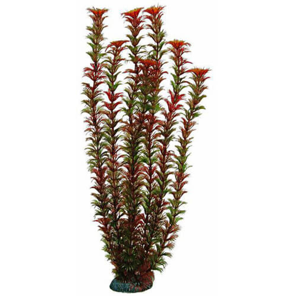 Aquatic Plants акваріумна рослина, 46 см × 6 шт/уп (4687)
