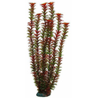 Aquatic Plants акваріумна рослина, 46 см × 6 шт/уп (4687)