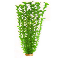 Aquatic Plants акваріумна рослина, 55 см × 4 шт/уп (5562)
