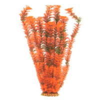 Aquatic Plants акваріумна рослина, 55 см × 4 шт/уп (5574)