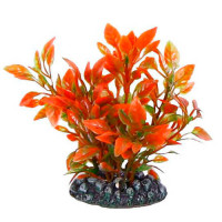 Aquatic Plants акваріумна рослина, 8 см × 10 шт/уп (0802)