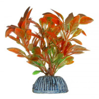 Aquatic Plants акваріумна рослина, 8 см × 10 шт/уп (0877)