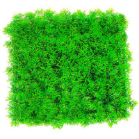 Aquatic Plants акваріумна рослина-килимок, 25х25х9 см (0525)