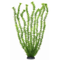Aquatic Plants акваріумна рослина, 68 см × 4 шт/уп (6813)