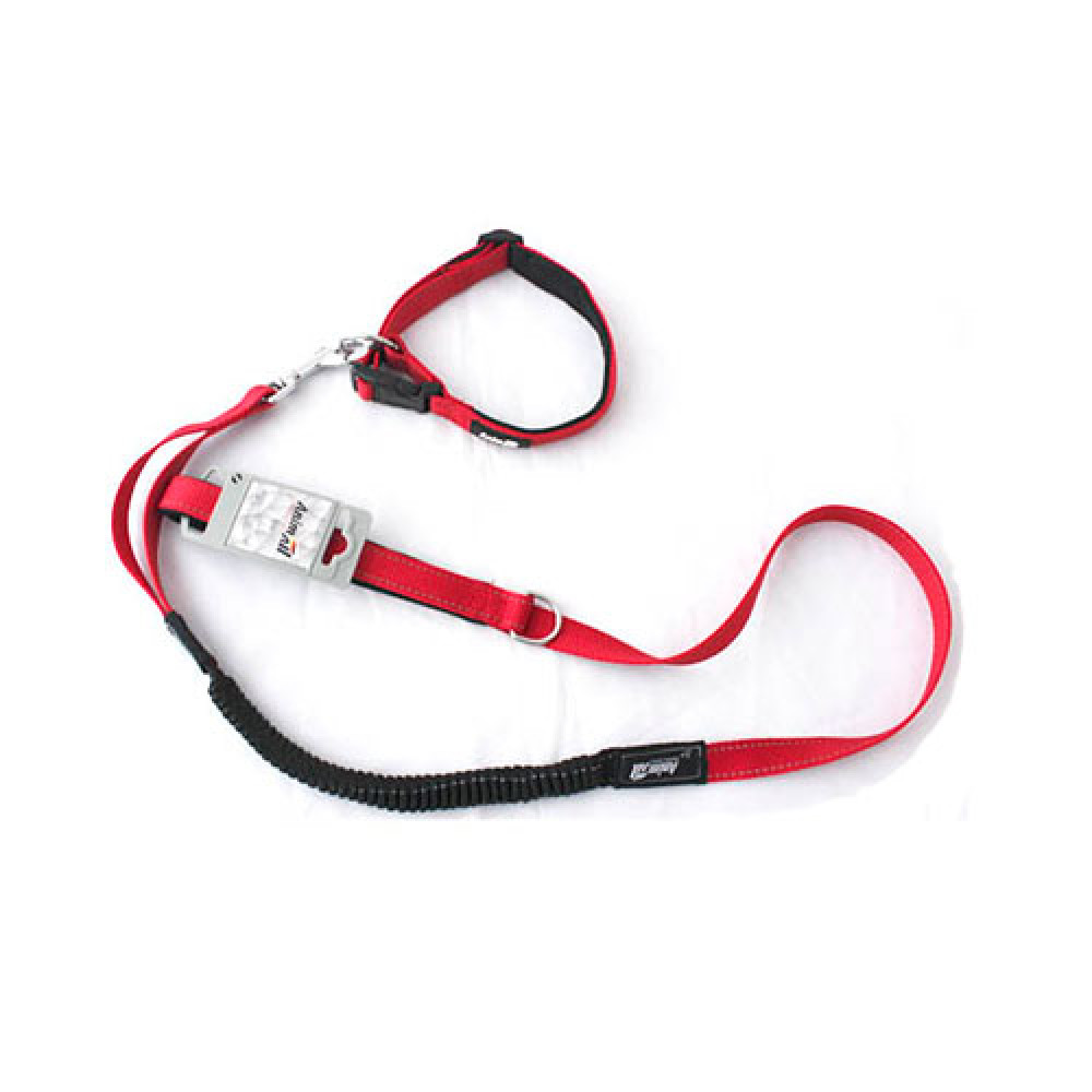 Комплект нашийник з повідцем AnimAll для собак, M, 1×120 см/27-42 см, червоний