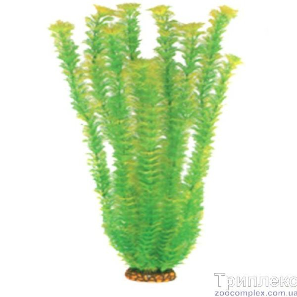 Aquatic Plants акваріумна рослина, 55 см × 4 шт/уп (5573)