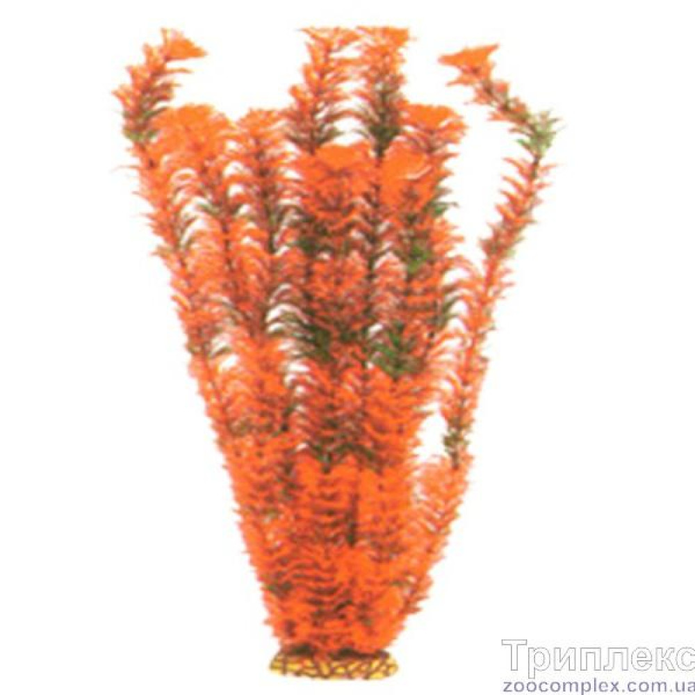 Aquatic Plants акваріумна рослина, 55 см × 4 шт/уп (5574)