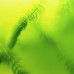Кондиционер JBL AlgoPond Green для борьбы с плавающими водорослями в садовом пруду, 250 мл
