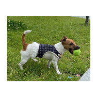 AnimAll набір повідець та шлея для собак, сукня, 1×120 см