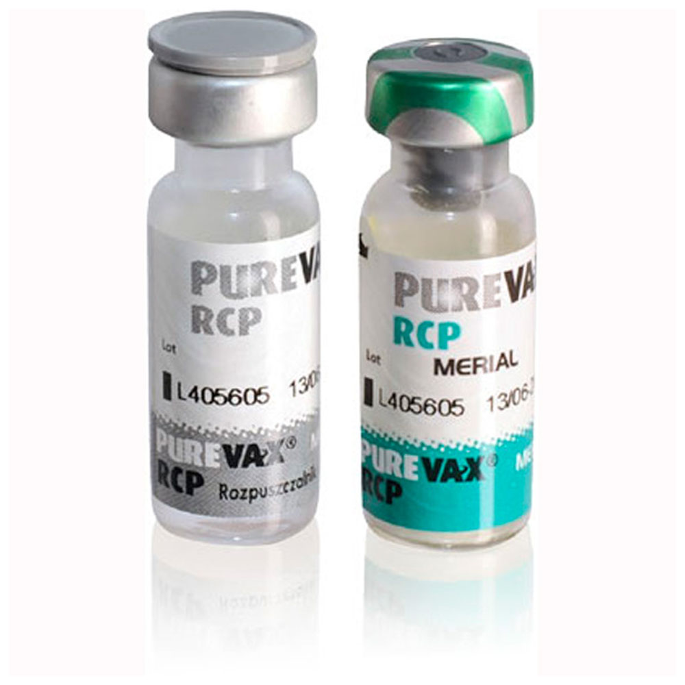 Boehringer Ingelheim Purevax (Пюревакс) RCP вакцина без хламидиоза. Boehringer Ingelheim Purevax (Пюревакс) RCP вакцина без хламидиоза.