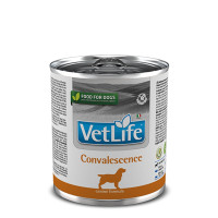 Farmina Vet Life Convalescence вологий корм для собак, дієта для відновлення харчування та одужання, 300 г